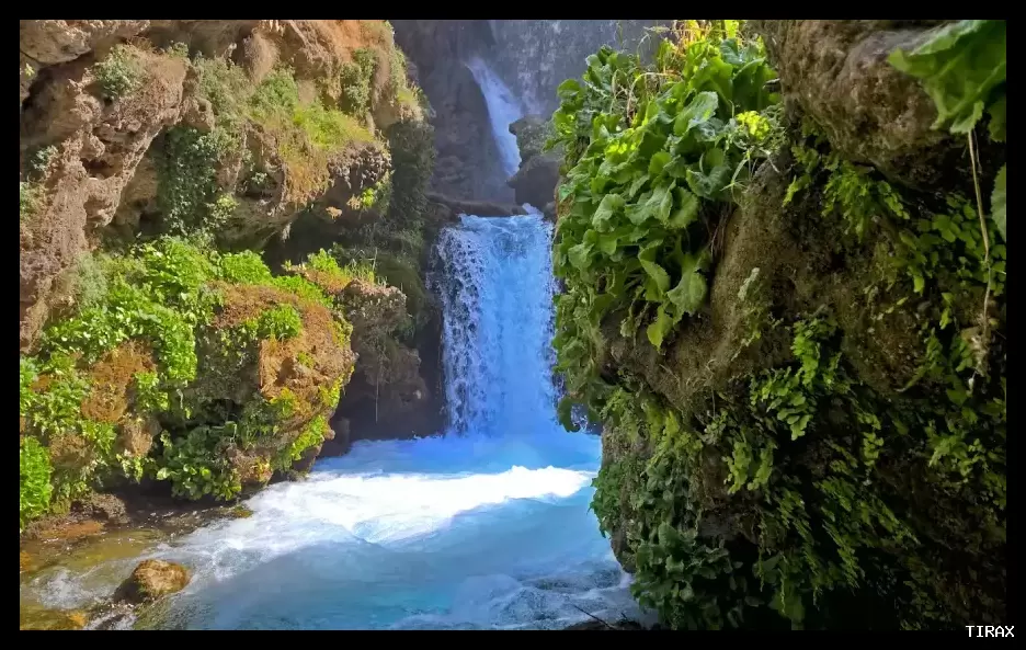 تصویر خبر